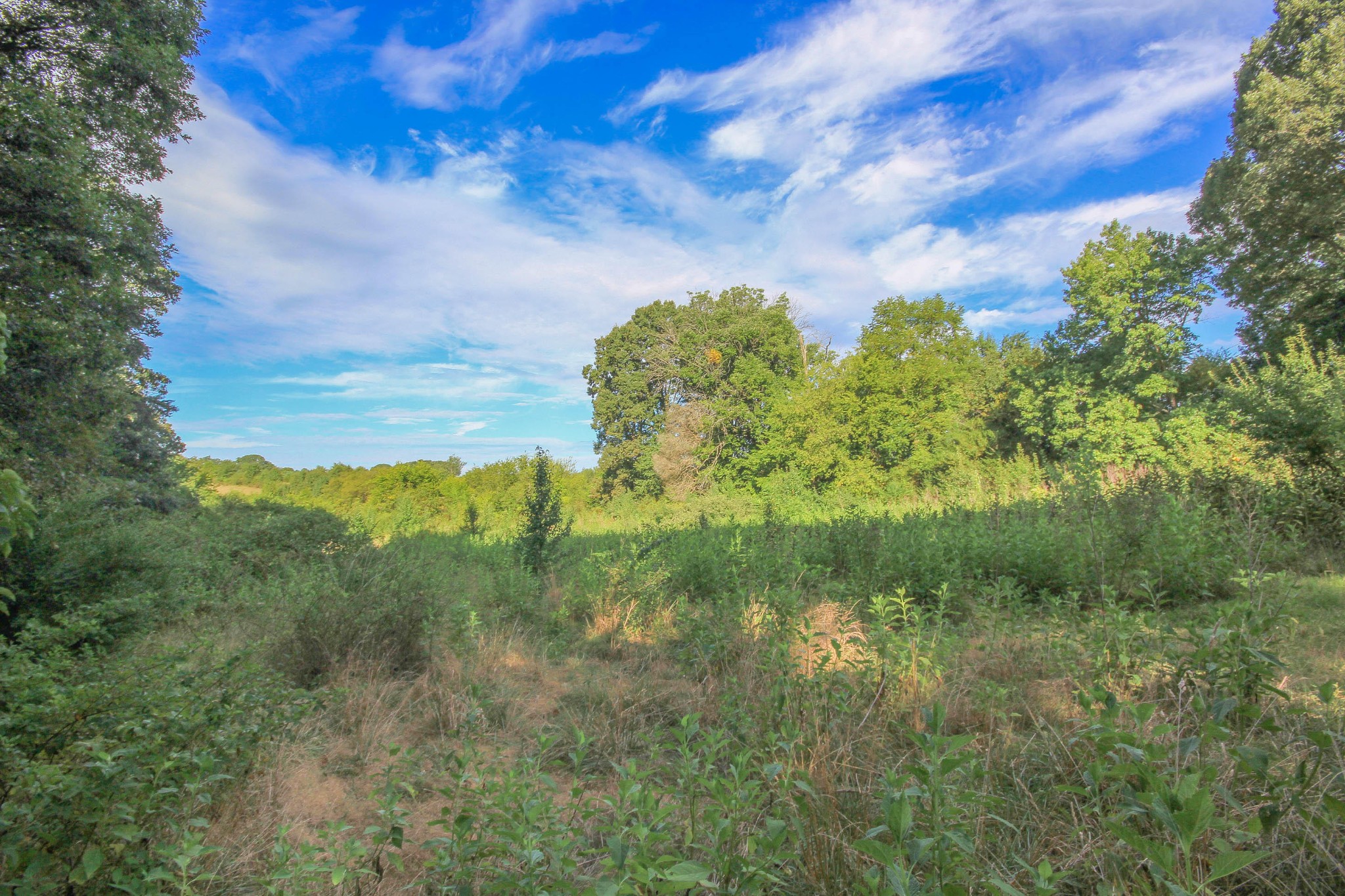 847 Proffitt Springs Road Maryville, TN 37801 - Photo 11 of 12 Gallery Image 11