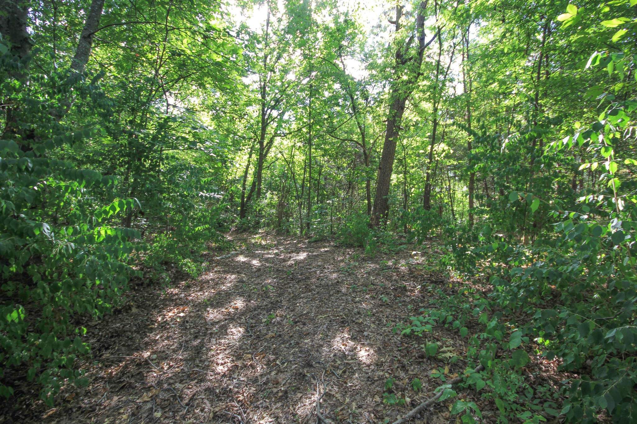 847 Proffitt Springs Road Maryville, TN 37801 - Photo 12 of 12 Gallery Image 12