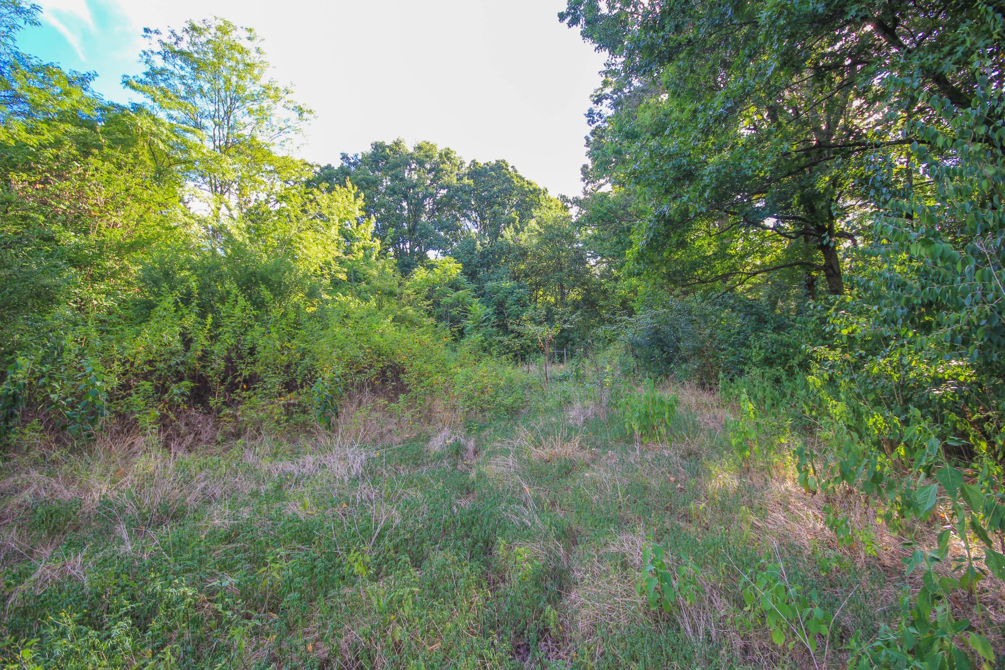 847 Proffitt Springs Road Maryville, TN 37801 - Photo 10 of 12 Gallery Image 10
