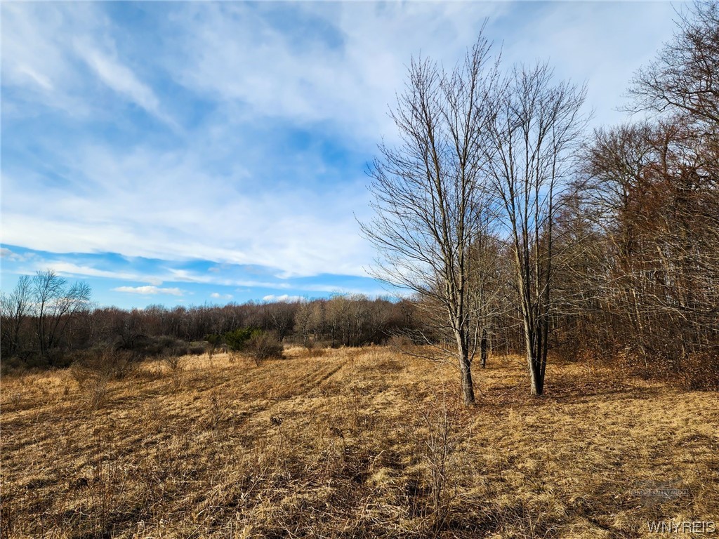 0 Quigg Hollow Road Andover, NY 14806 - Photo 13 of 19