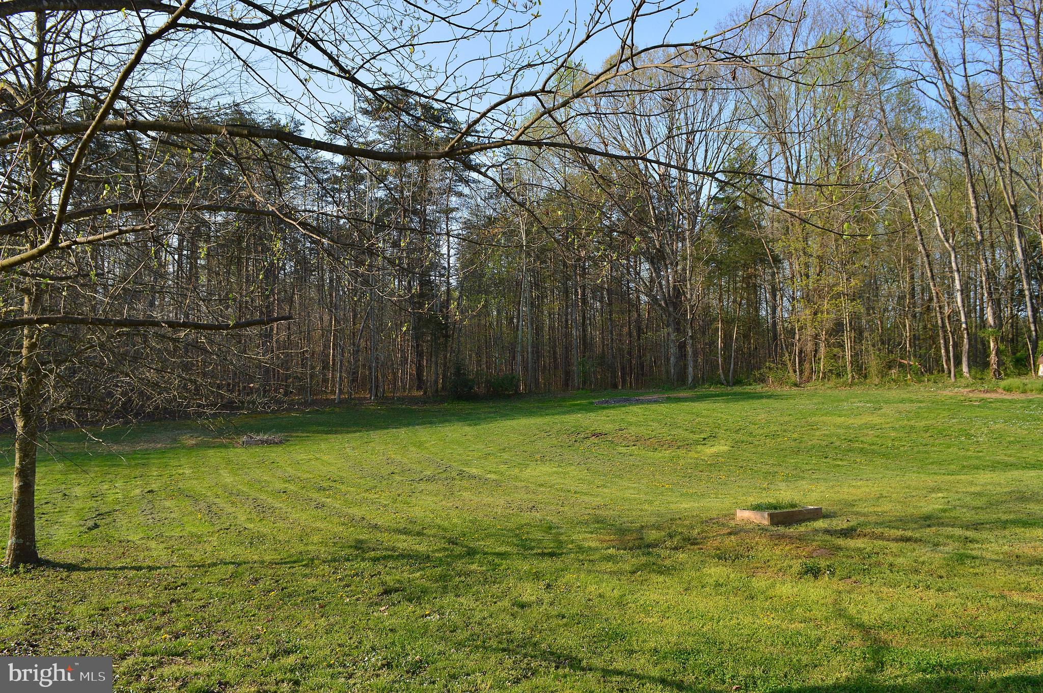 10715 Settle School Road Rixeyville, VA 22737 - Photo 45 of 49