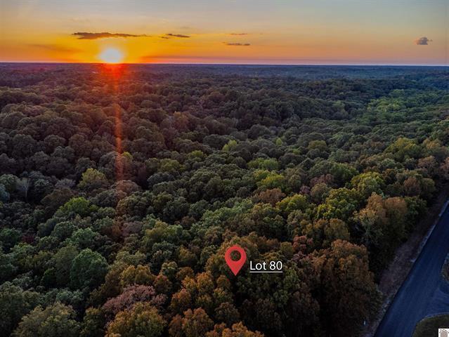 Lot 80 Waterfowl Road Murray, KY 42071 - Photo 13 of 21 20260711020557043452000000-o