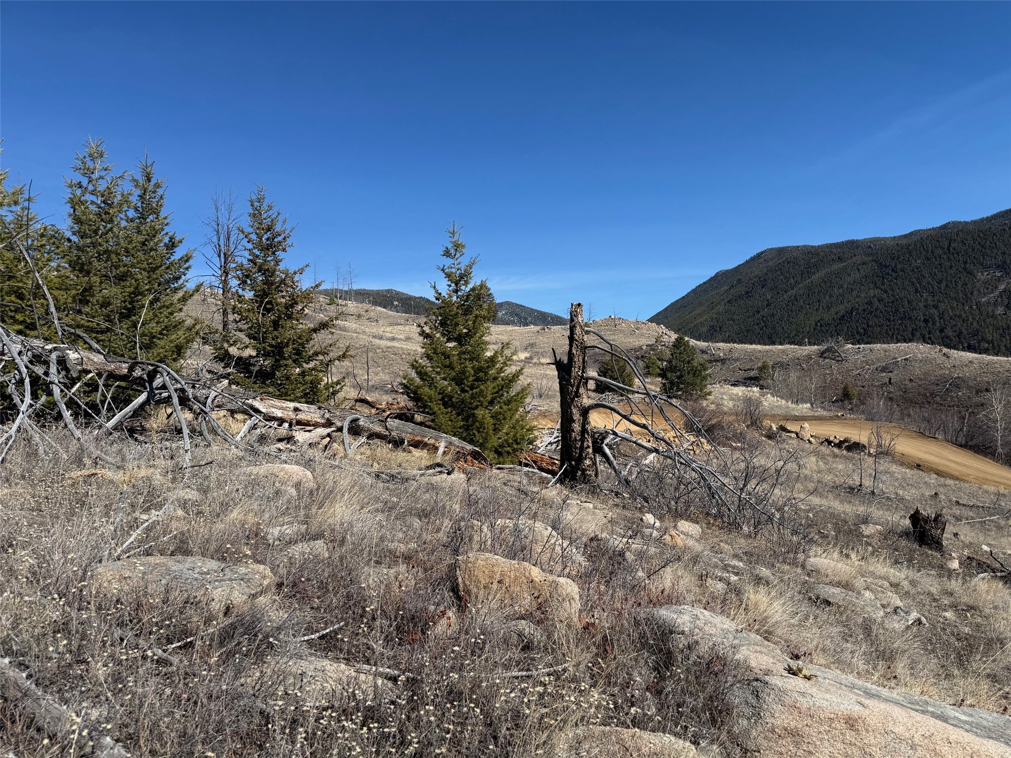 83 Nursery Creek Road Boulder, MT 59632 - Photo 15 of 62 land on South side of Nursery Creek Rd
