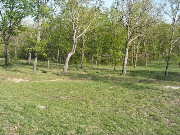 199 Forest Lake Drive Reeds Spring, MO 65737 - Photo 1 of 1 Primary Photo
