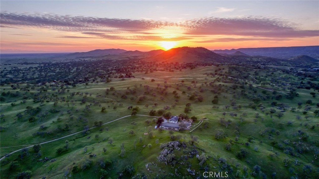 a view of a lush green hillside and a houses