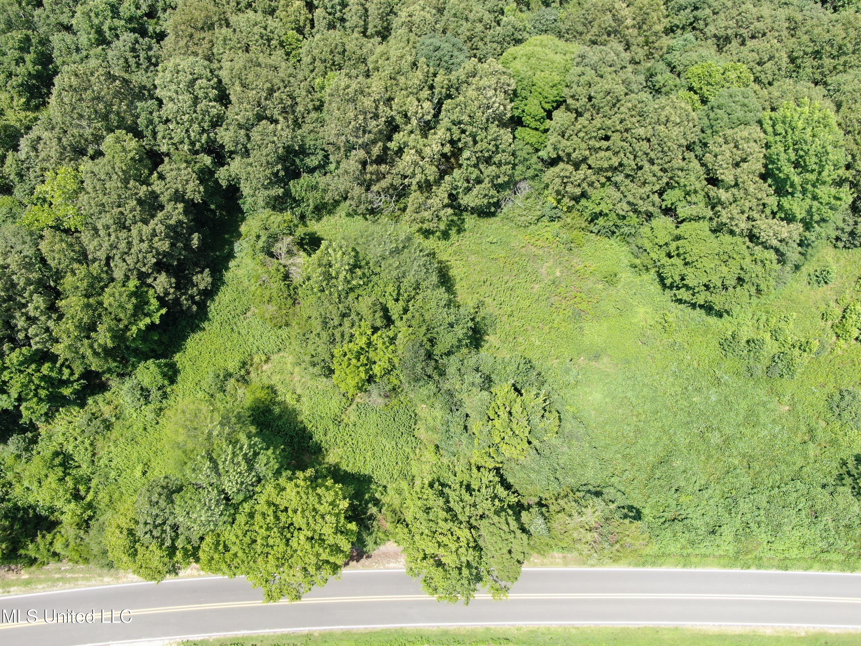 1185 Potts Camp Road Waterford, MS 38685 - Photo 1 of 23 land