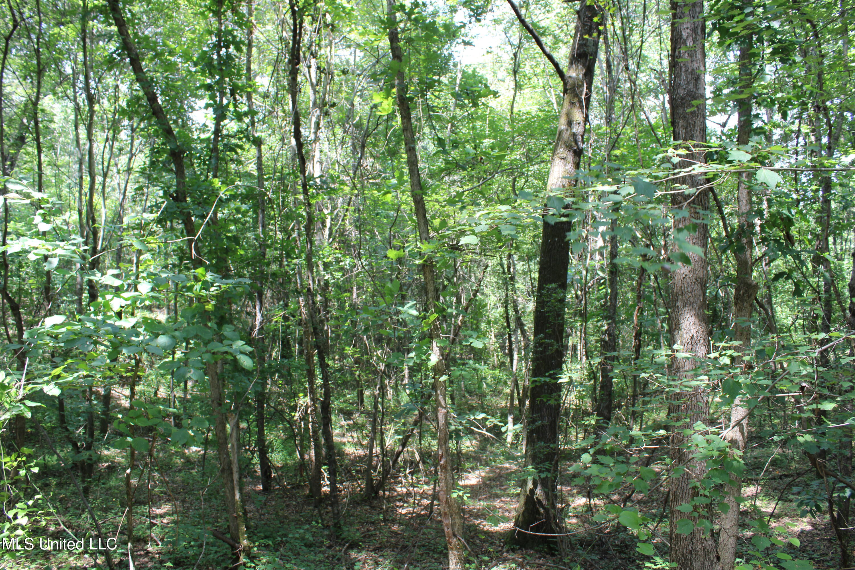 1185 Potts Camp Road Waterford, MS 38685 - Photo 11 of 23 IMG_1781