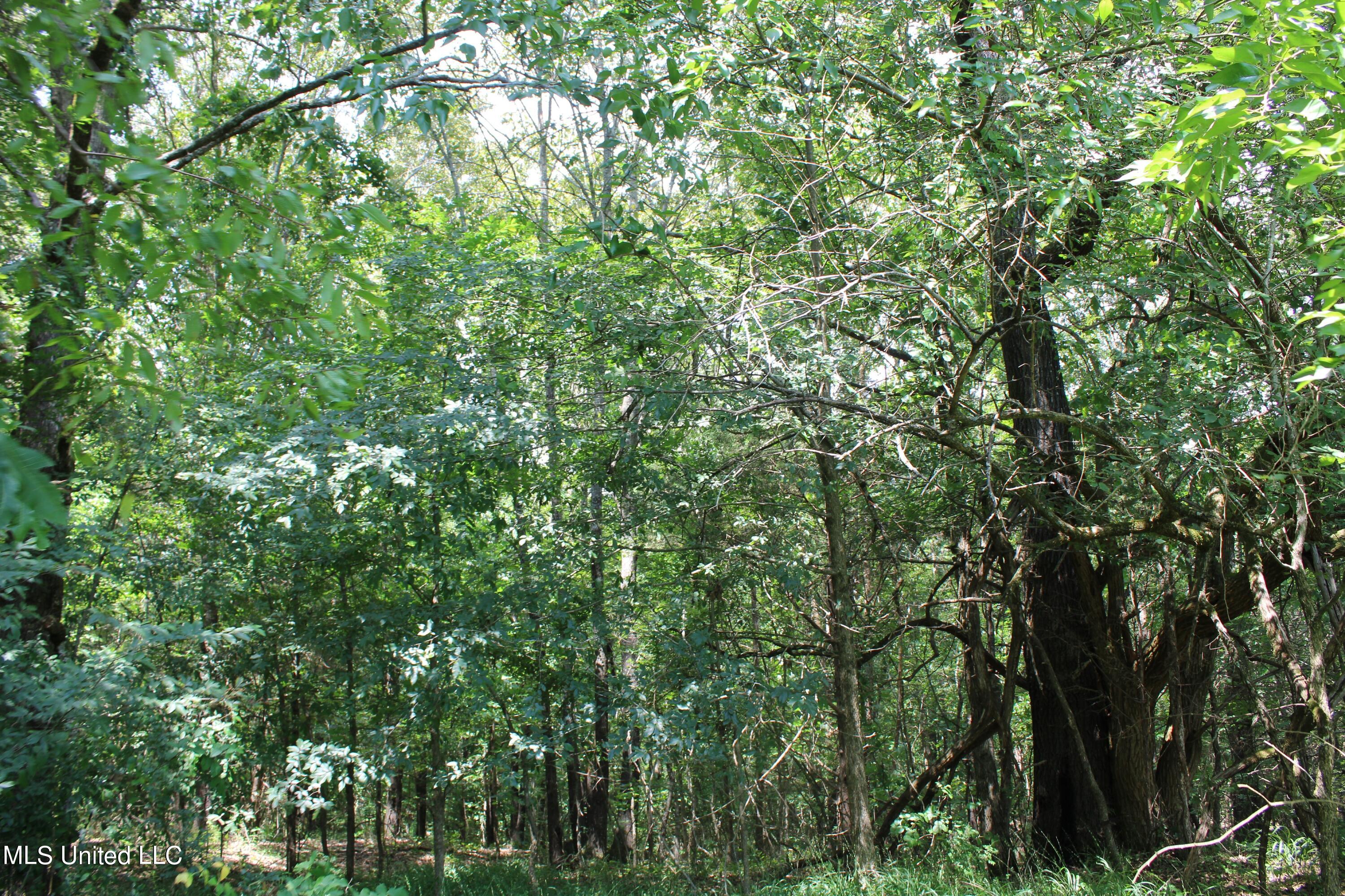 1185 Potts Camp Road Waterford, MS 38685 - Photo 16 of 23 IMG_1777