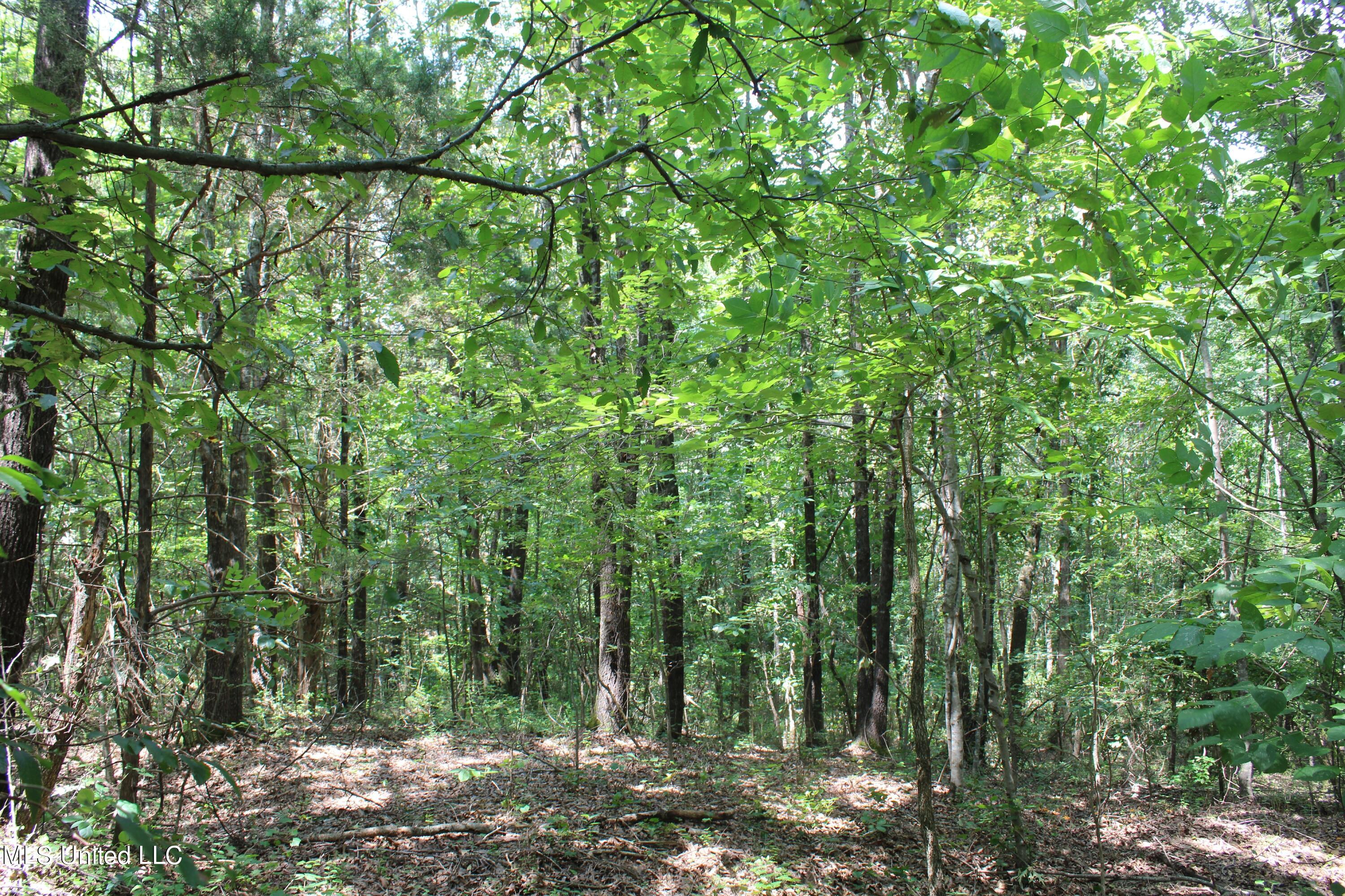 1185 Potts Camp Road Waterford, MS 38685 - Photo 17 of 23 IMG_1778