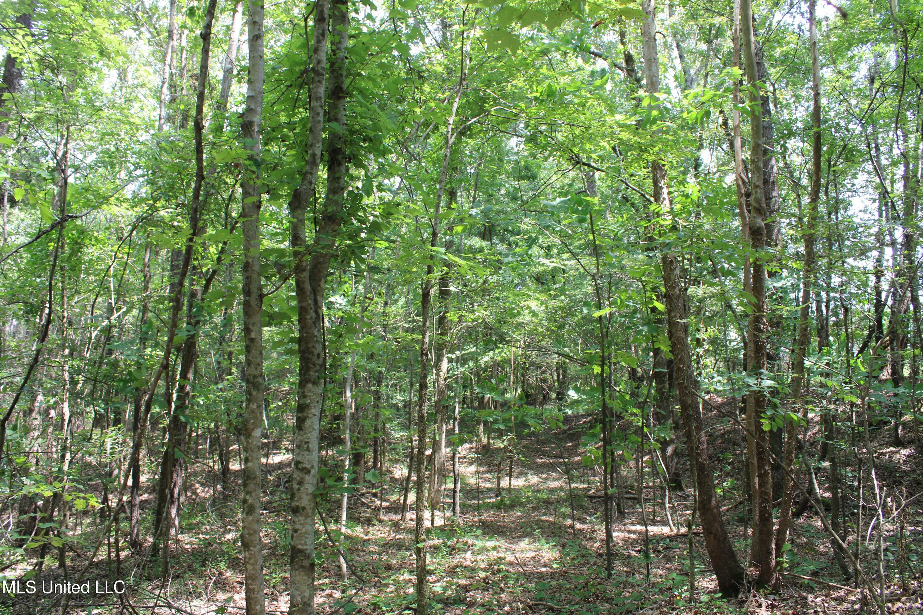 1185 Potts Camp Road Waterford, MS 38685 - Photo 18 of 23 IMG_1779