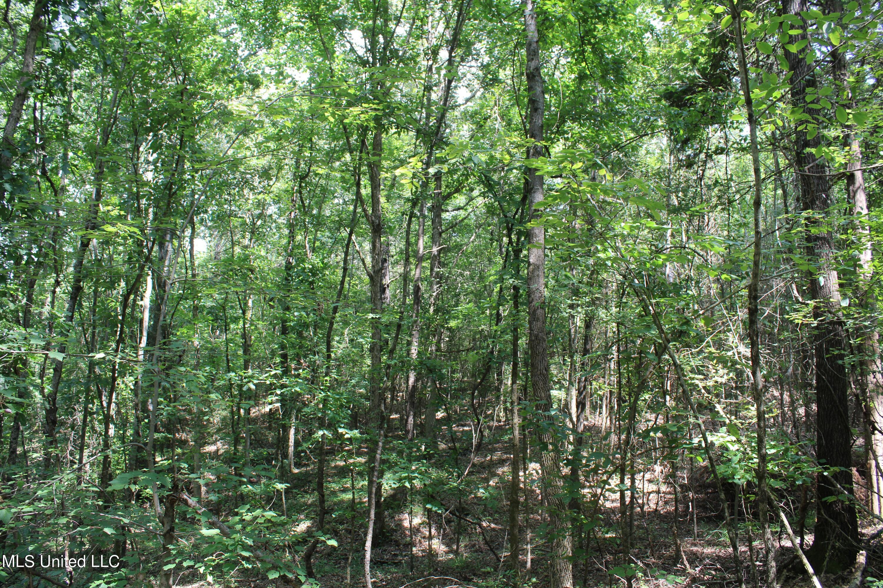 1185 Potts Camp Road Waterford, MS 38685 - Photo 19 of 23 IMG_1780