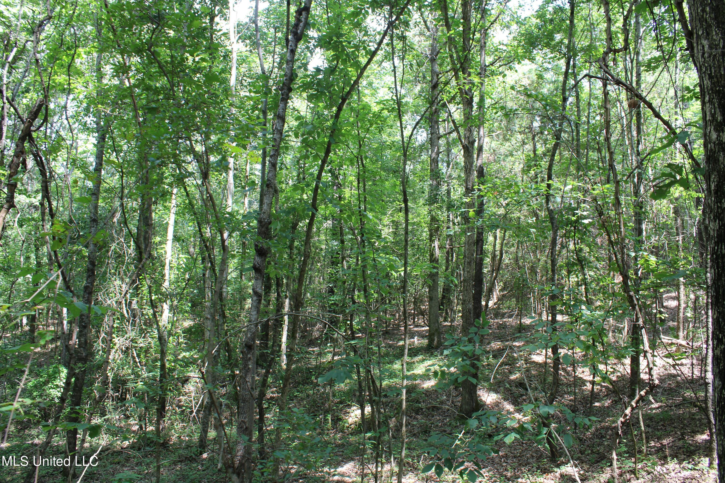 1185 Potts Camp Road Waterford, MS 38685 - Photo 20 of 23 IMG_1782
