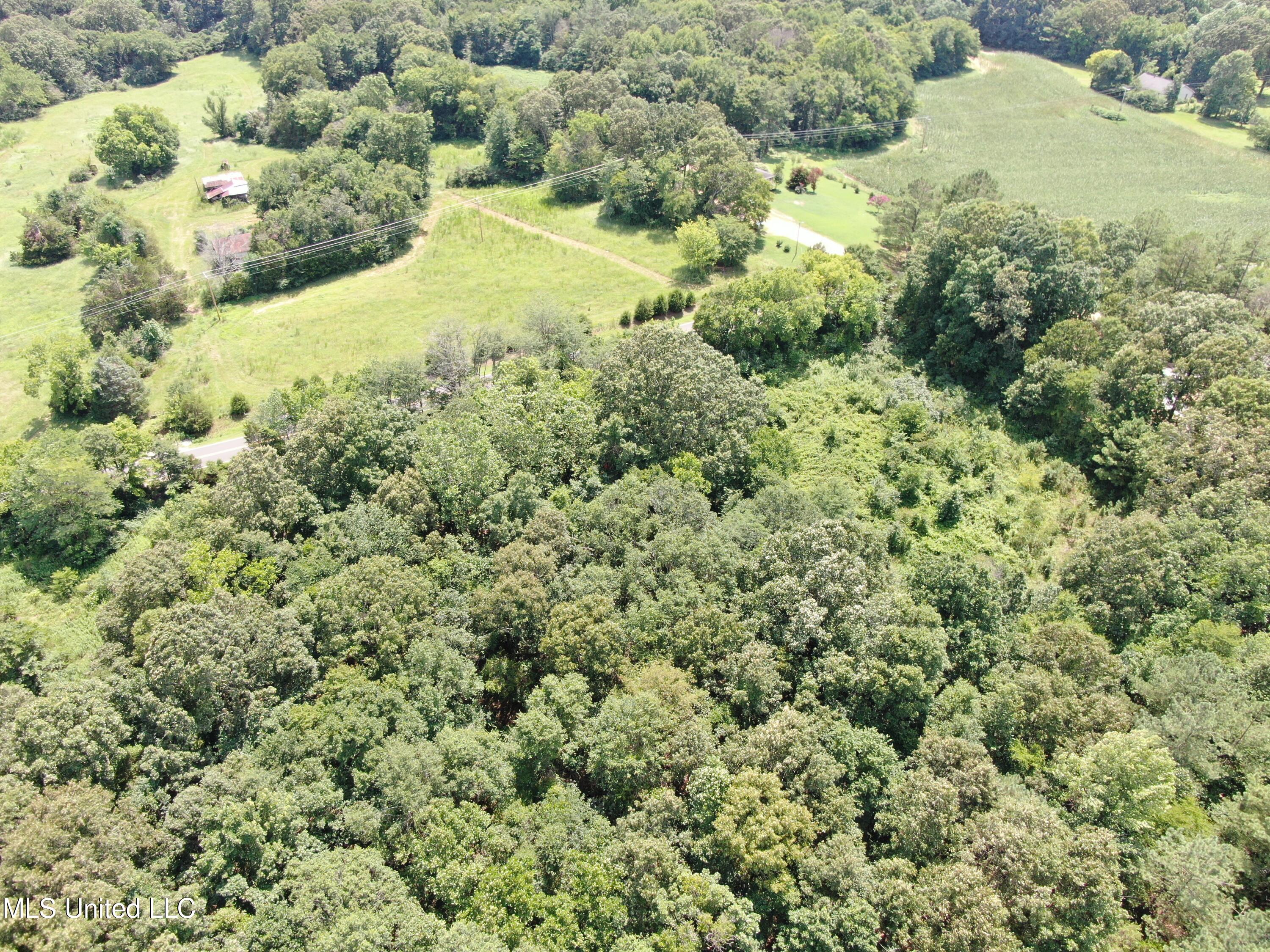 1185 Potts Camp Road Waterford, MS 38685 - Photo 2 of 23 DJI_0910
