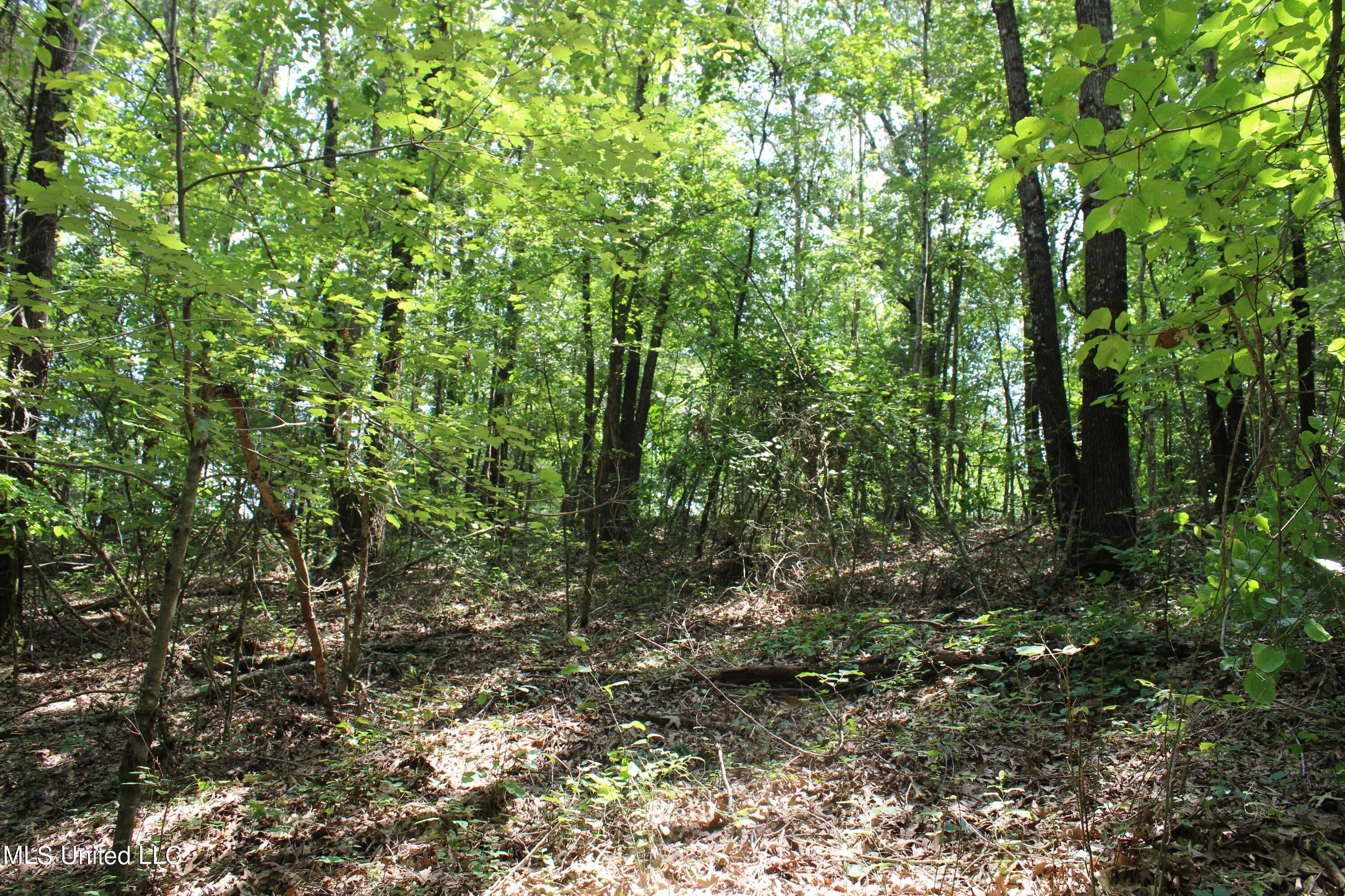 1185 Potts Camp Road Waterford, MS 38685 - Photo 21 of 23 IMG_1783