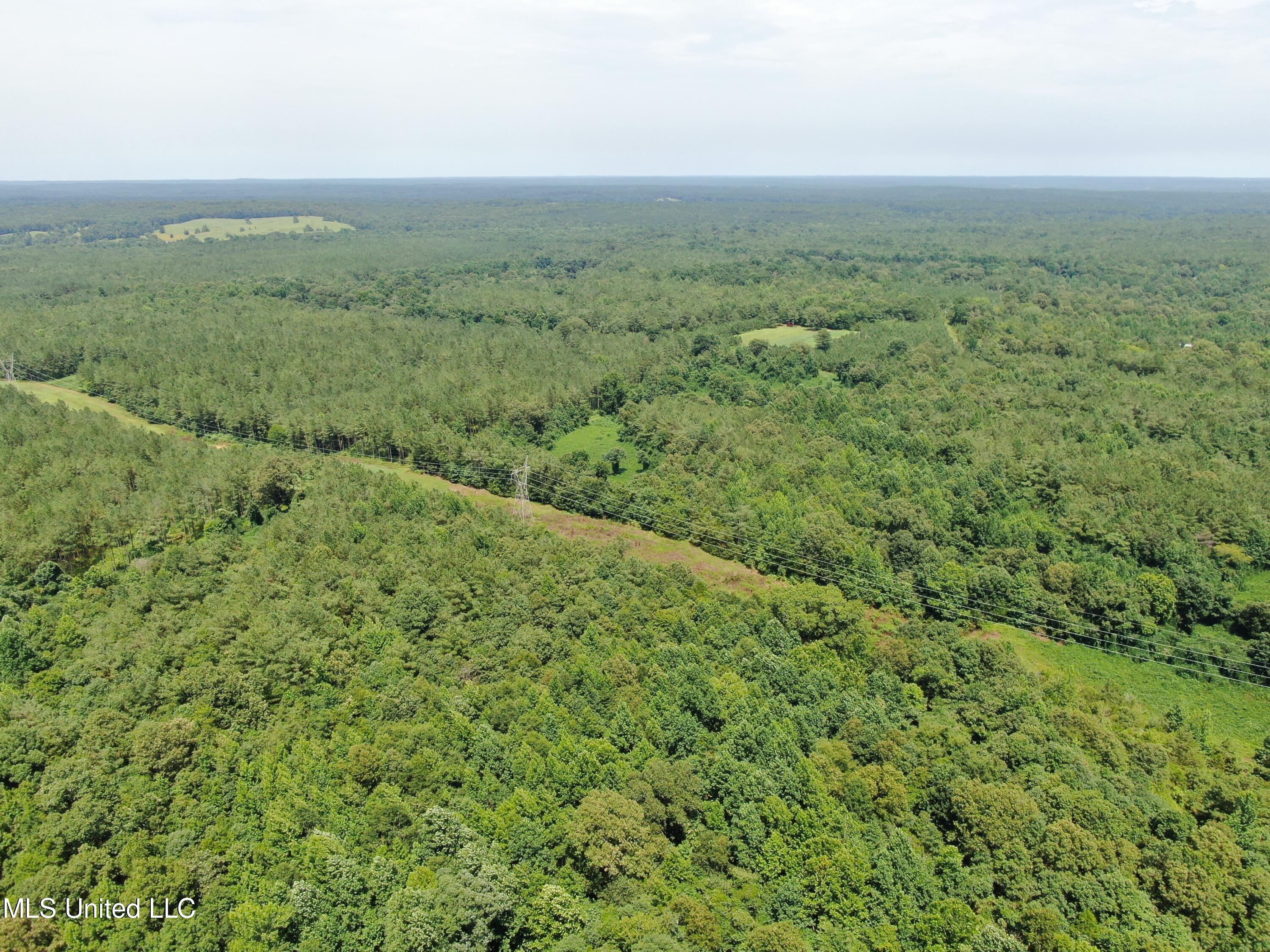 1185 Potts Camp Road Waterford, MS 38685 - Photo 3 of 23 DJI_0911
