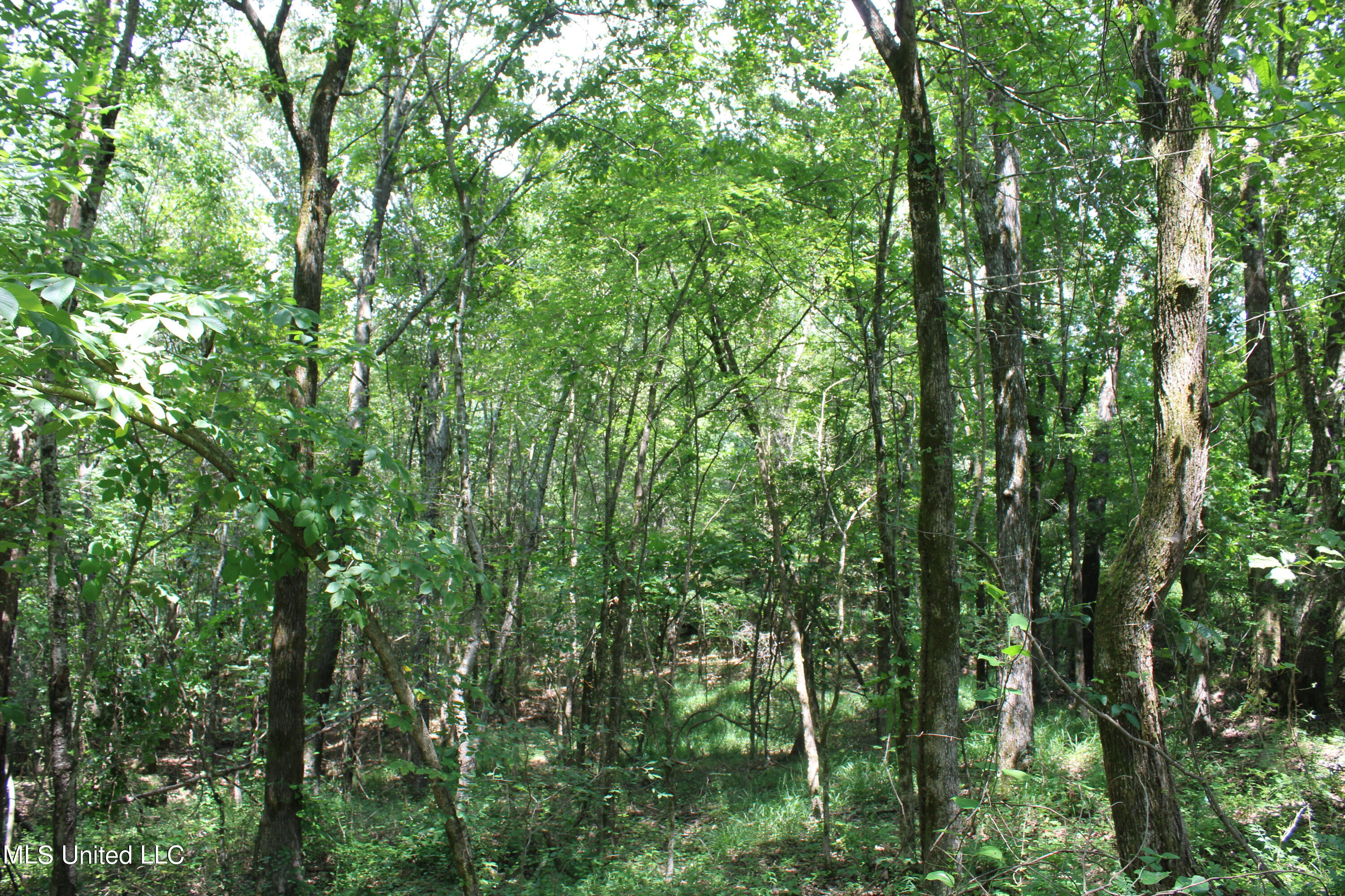 1185 Potts Camp Road Waterford, MS 38685 - Photo 7 of 23 IMG_1771
