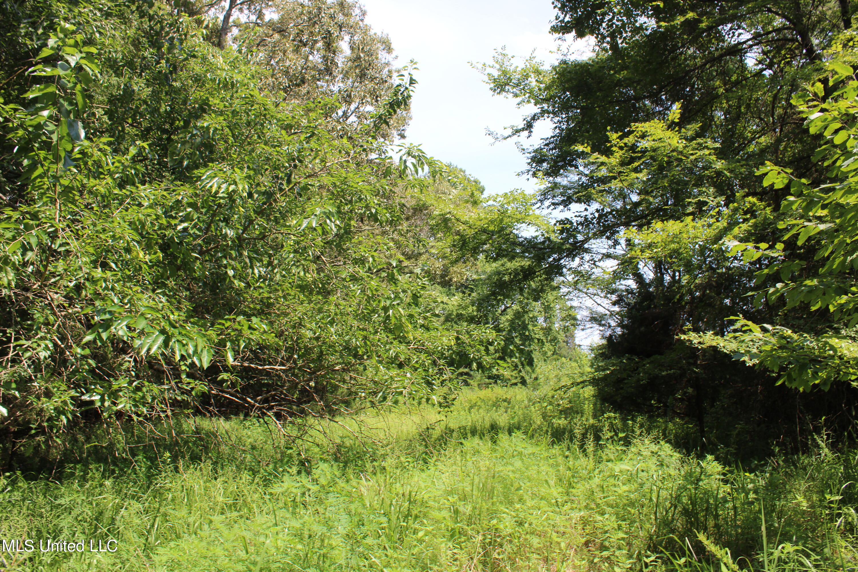 1185 Potts Camp Road Waterford, MS 38685 - Photo 10 of 23 IMG_1776