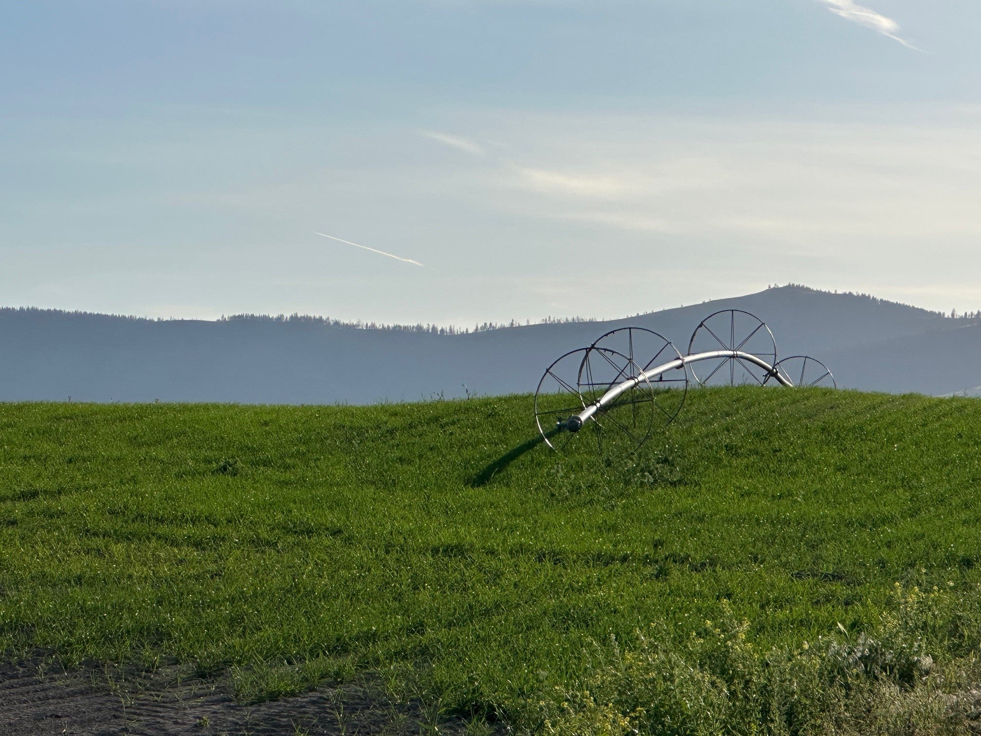 46471 Valley View Road Ronan, MT 59864 - Photo 10 of 53 Gallery Image 10