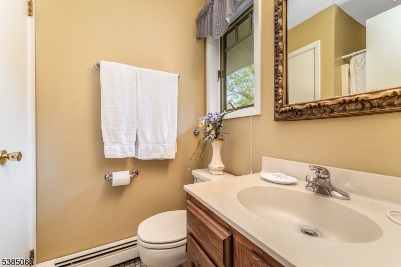 168 Locktown Sergeantsville Road Stockton, NJ 08559 - Photo 20 of 30 a bathroom with a sink a toilet and mirror