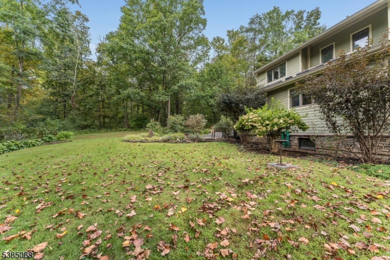 168 Locktown Sergeantsville Road Stockton, NJ 08559 - Photo 25 of 30 a backyard of a house with lots of green space