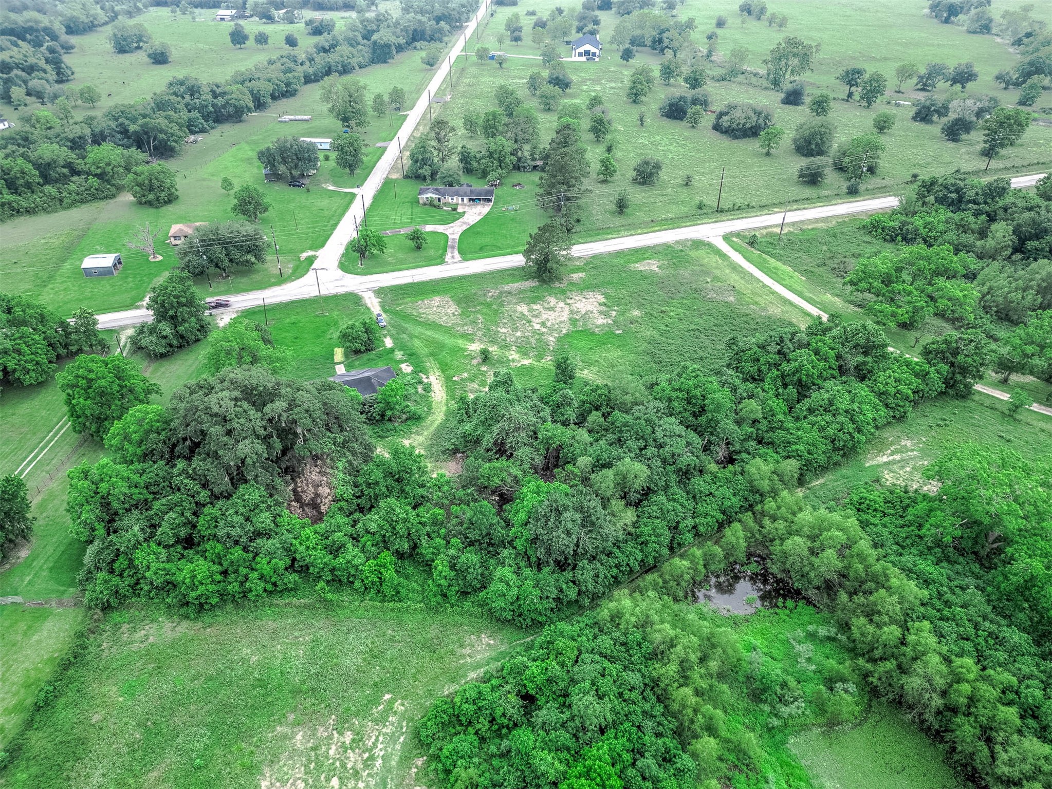0 FM 524 Road Sweeny, TX 77480 - Photo 5 of 5 a view of a lush green forest