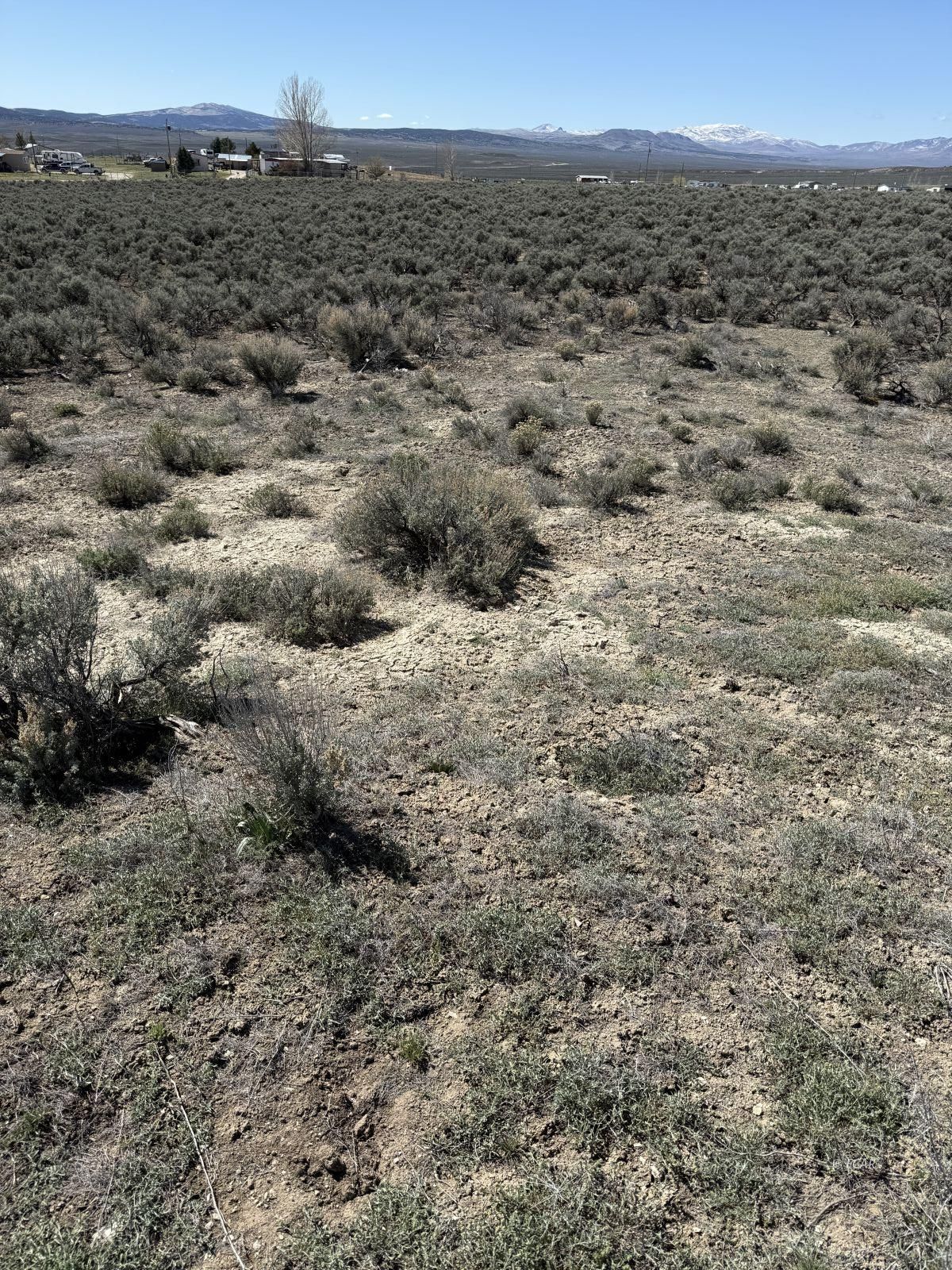 Beauregard Ave Spring Creek Spring Creek, NV 89815 - Photo 5 of 8