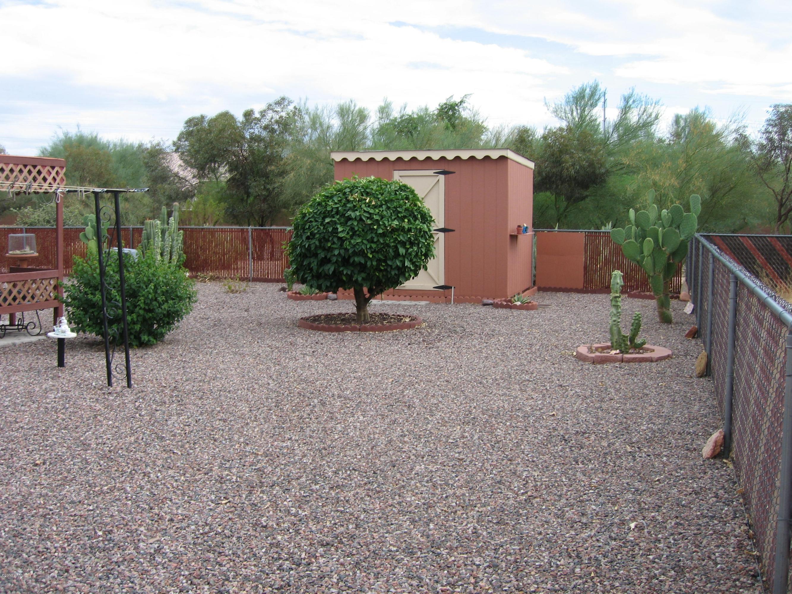 6529 East Decatur Street Mesa, AZ 85205 - Photo 29 of 50 Enjoy Citrus from Your Own Yard