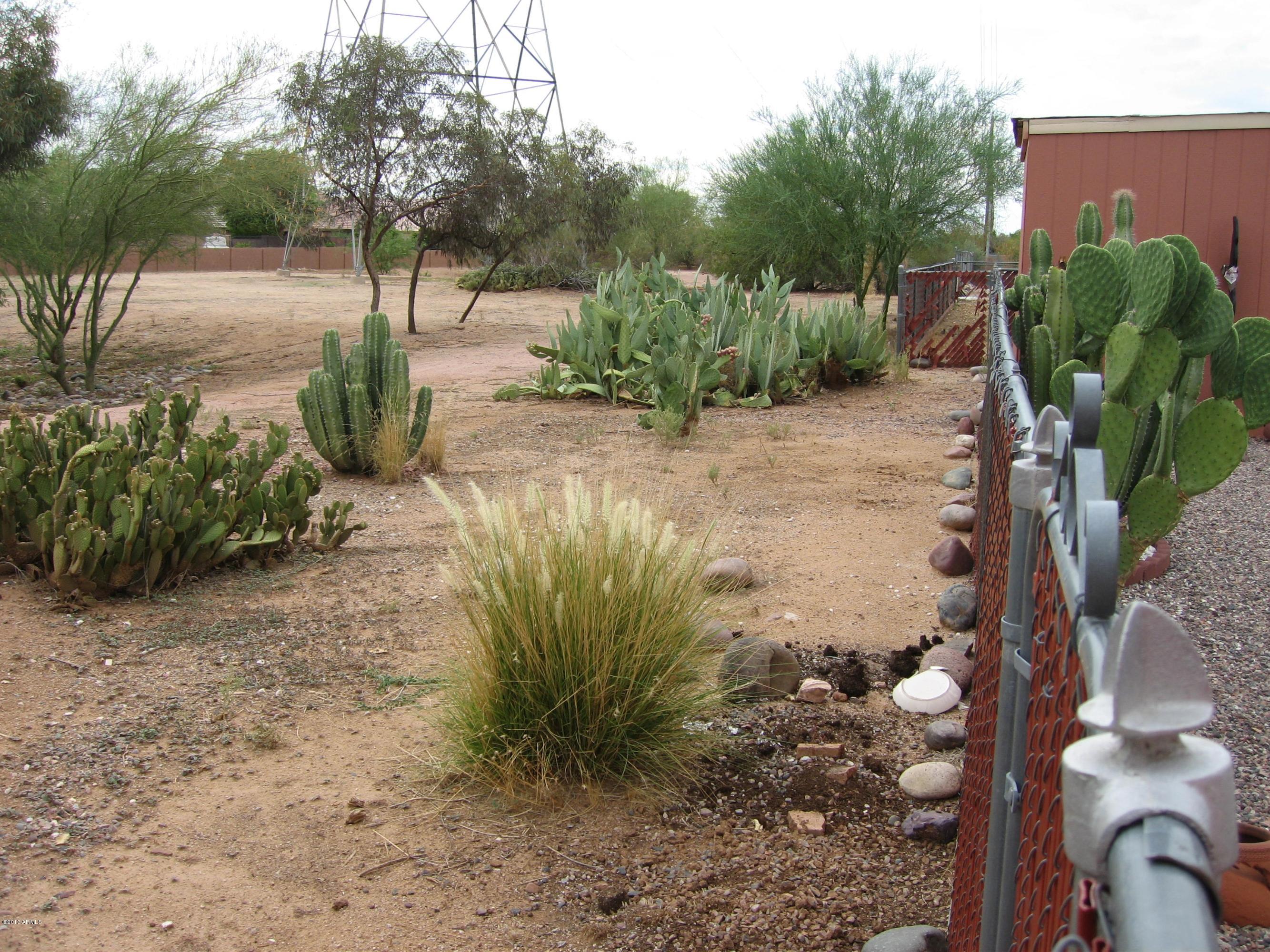 6529 East Decatur Street Mesa, AZ 85205 - Photo 34 of 50 View of Open Desert Area Behind Home