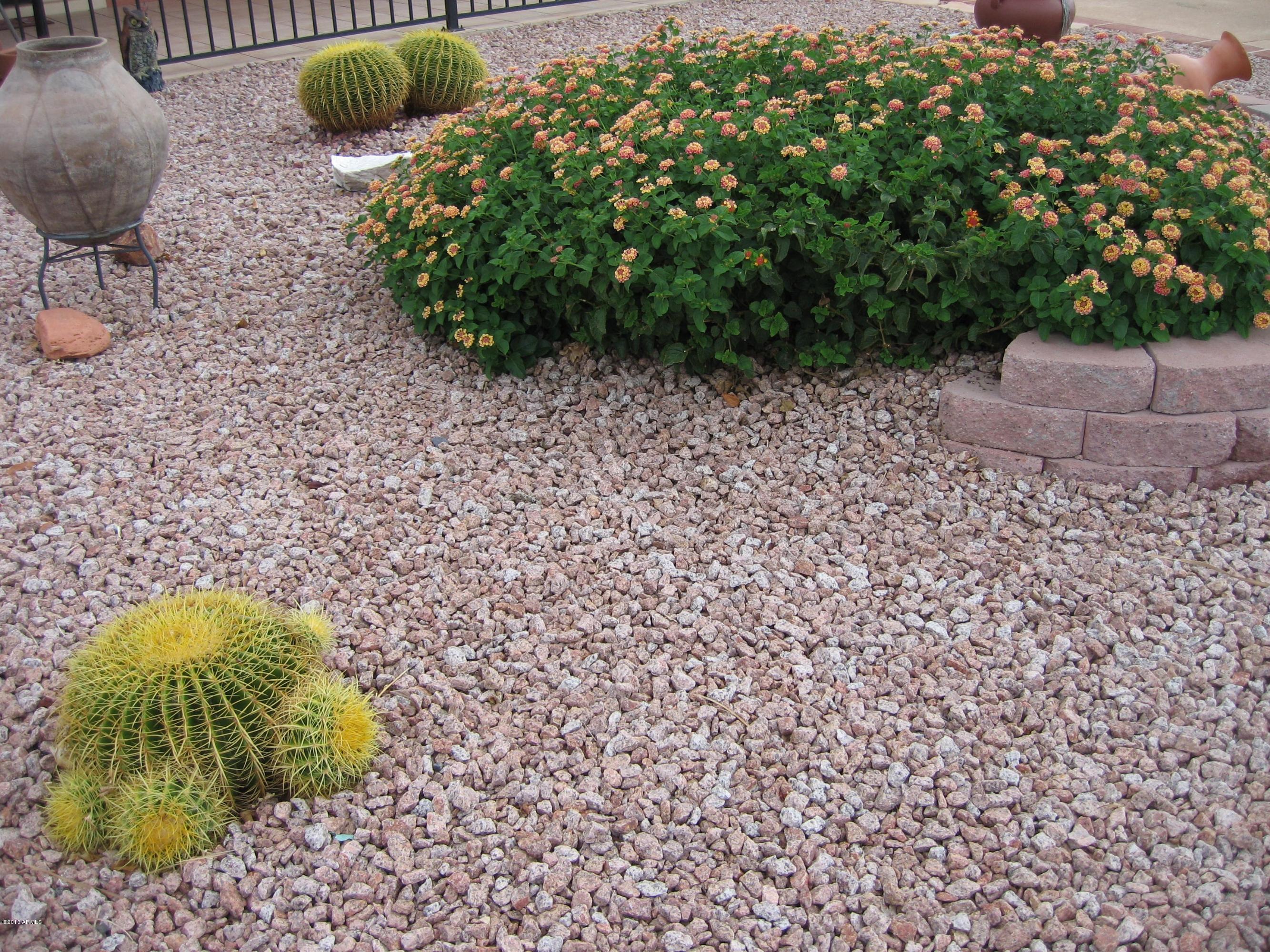 6529 East Decatur Street Mesa, AZ 85205 - Photo 49 of 50 Golden Barrel Cactus & Blooming Lantana