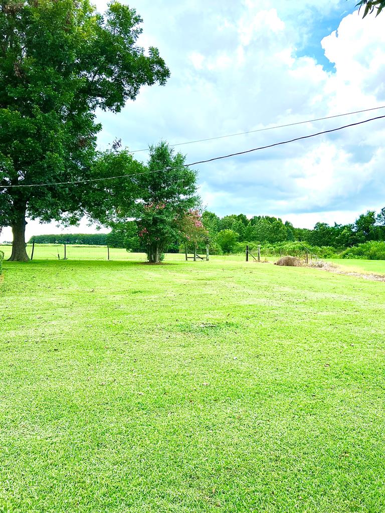 1601 Center Church Road Headland, AL 36345 - Photo 64 of 66 Gallery Image 64