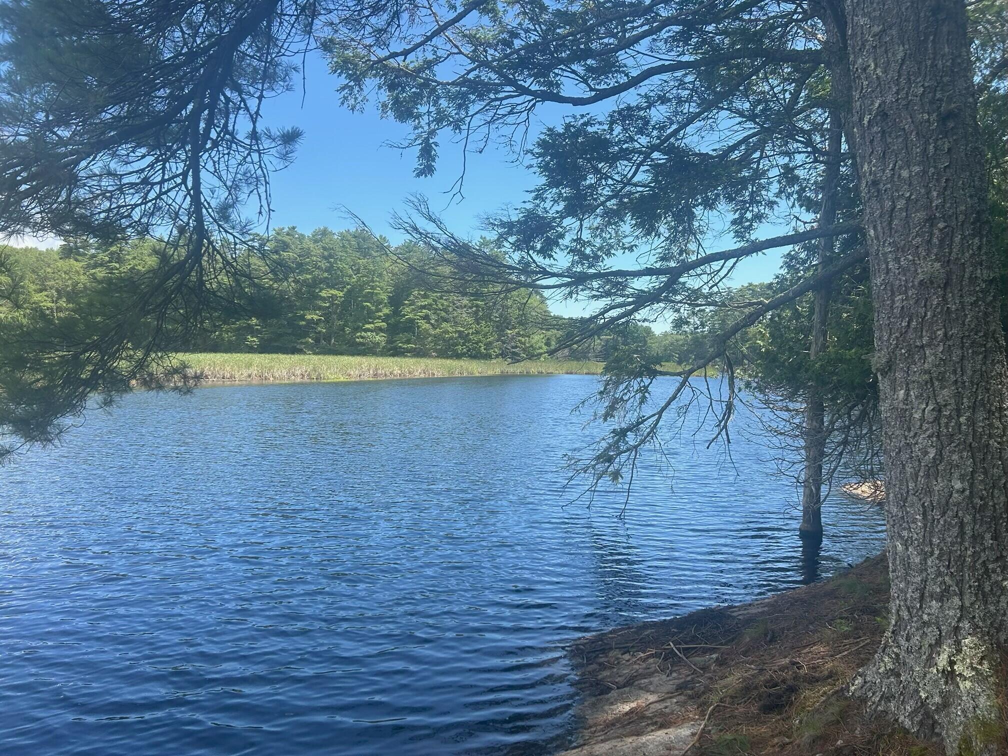 434 Campbell Pond Road West Bath, ME 04530 - Photo 5 of 43 McNutt Waterfront