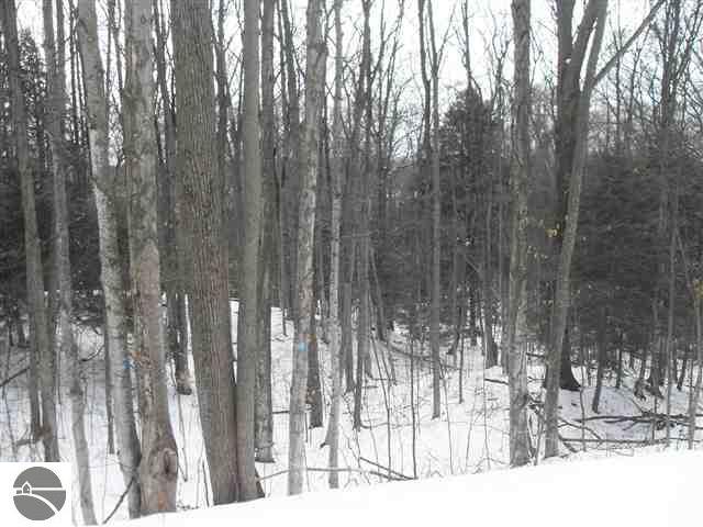 0 East Omena Point Road Omena, MI 49674 - Photo 2 of 9 1733690-1.JPG