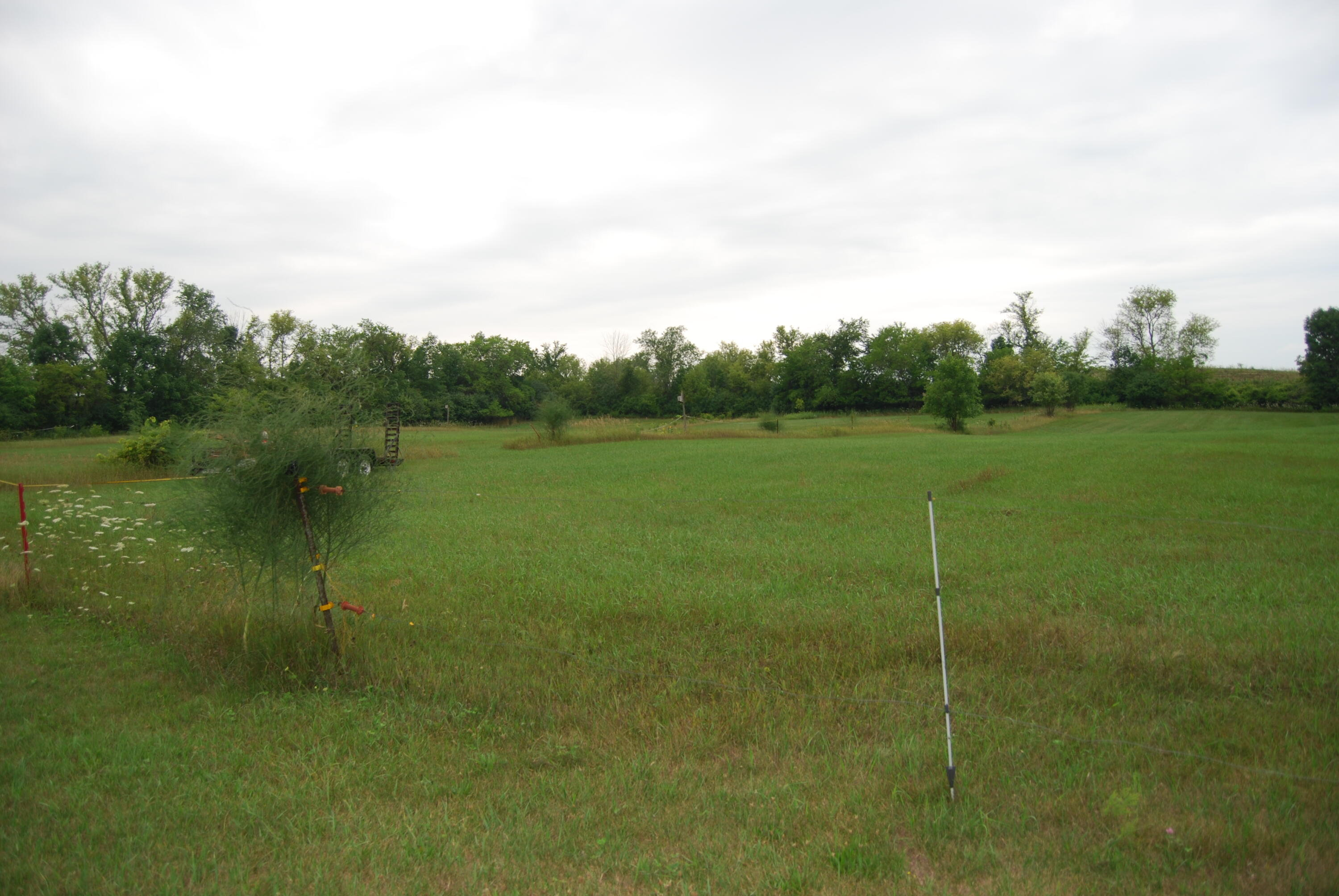 N2640 Bates Road Lyndon, WI 53011 - Photo 28 of 30 Fenced pastures 4