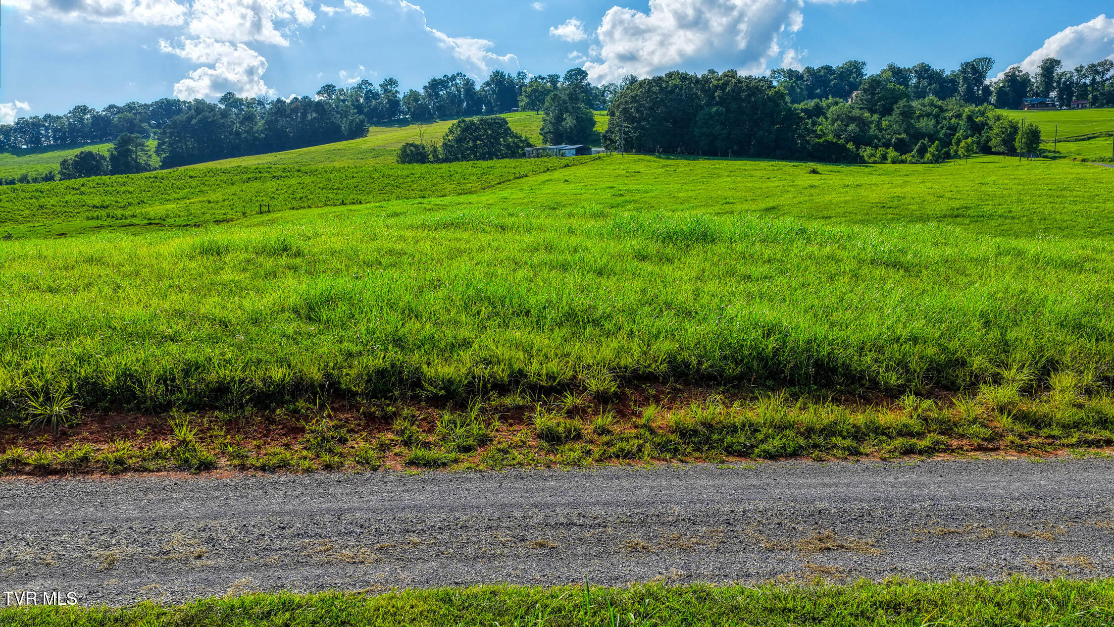 Tbd Walnut Rdg Way Rogersville, TN 37857 - Photo 29 of 31 Burem. Rog MLSa (29 of 31)
