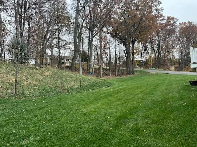 a view of a park with large trees