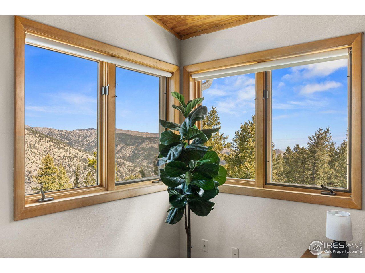 1346 Deer Trail Road Boulder, CO 80302 - Photo 22 of 40 a view of a flower pot