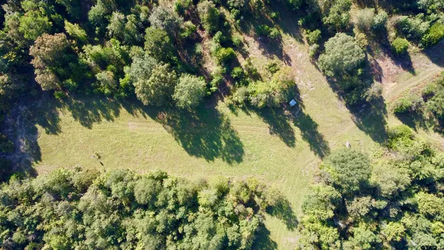 a view of a yard with wooden fence