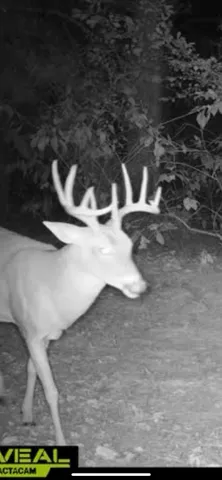 a view of a pathway of a house