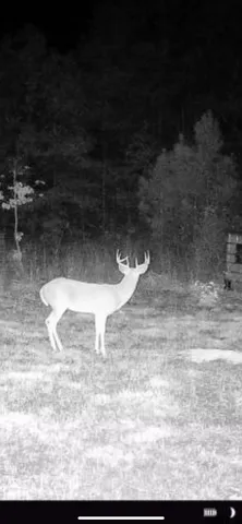 $645,000 | 3299 Cr 1579-2 Avinger Tx 75630, Hughes Springs, TX 75656