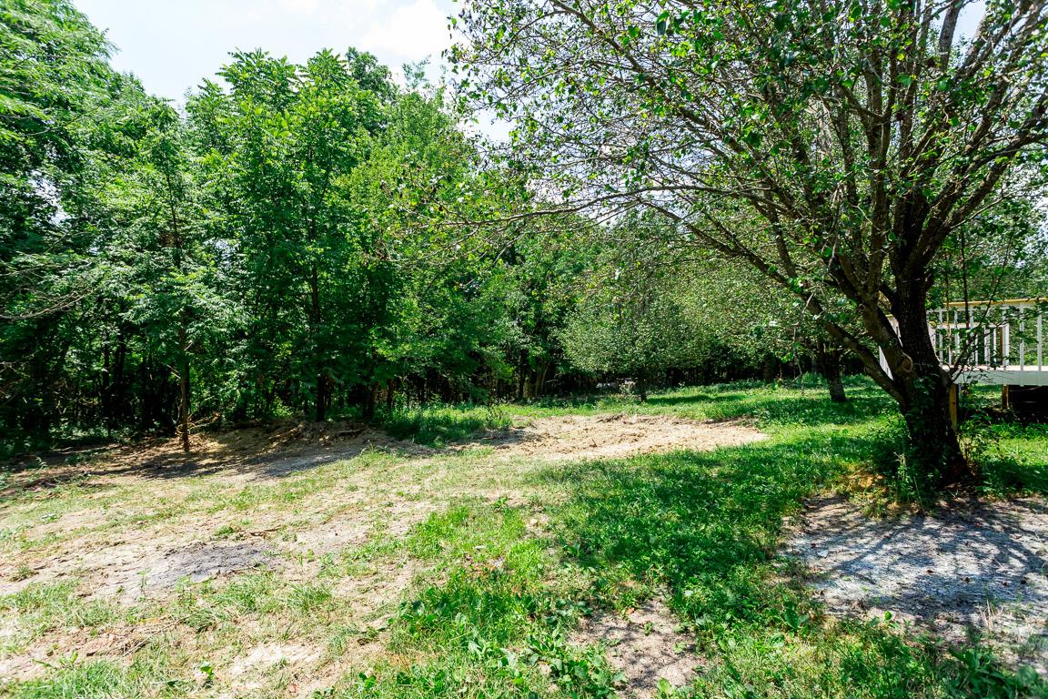 744 Tracy Road Watertown, TN 37184 - Photo 18 of 18 a view of backyard with green space
