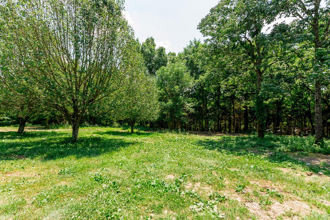 744 Tracy Road Watertown, TN 37184 - Photo 3 of 18 a view of outdoor space with deck and yard