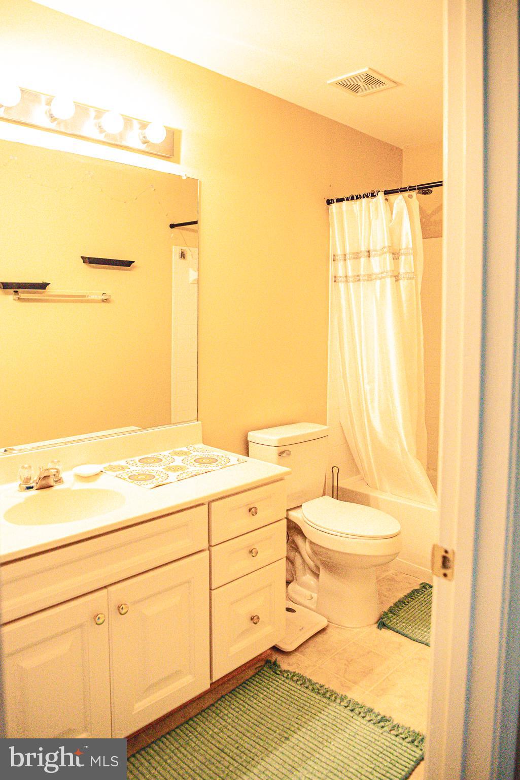 754 Blossom Tree Road Culpeper, VA 22701 - Photo 23 of 53 Full Bath