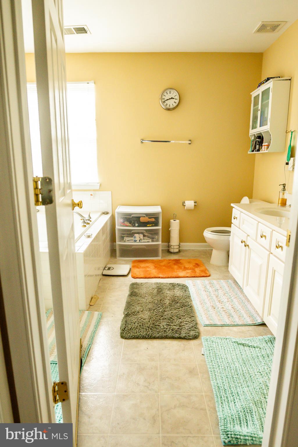 754 Blossom Tree Road Culpeper, VA 22701 - Photo 24 of 53 Master Bath