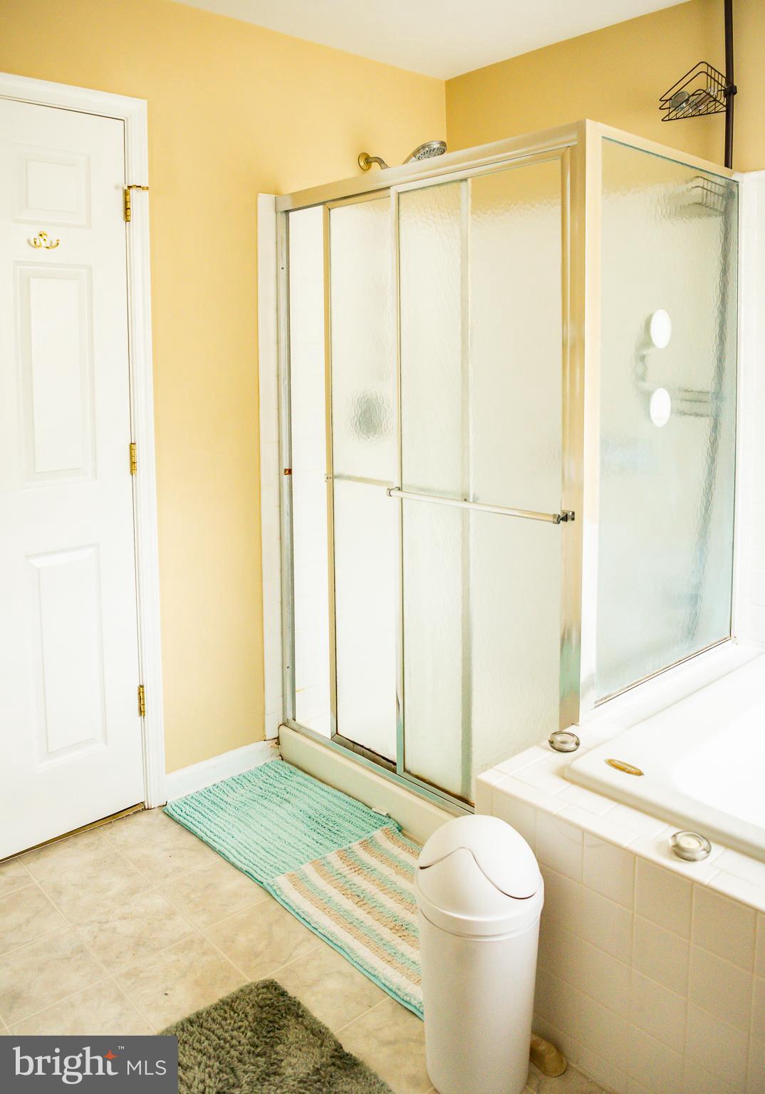 754 Blossom Tree Road Culpeper, VA 22701 - Photo 26 of 53 Master Bath