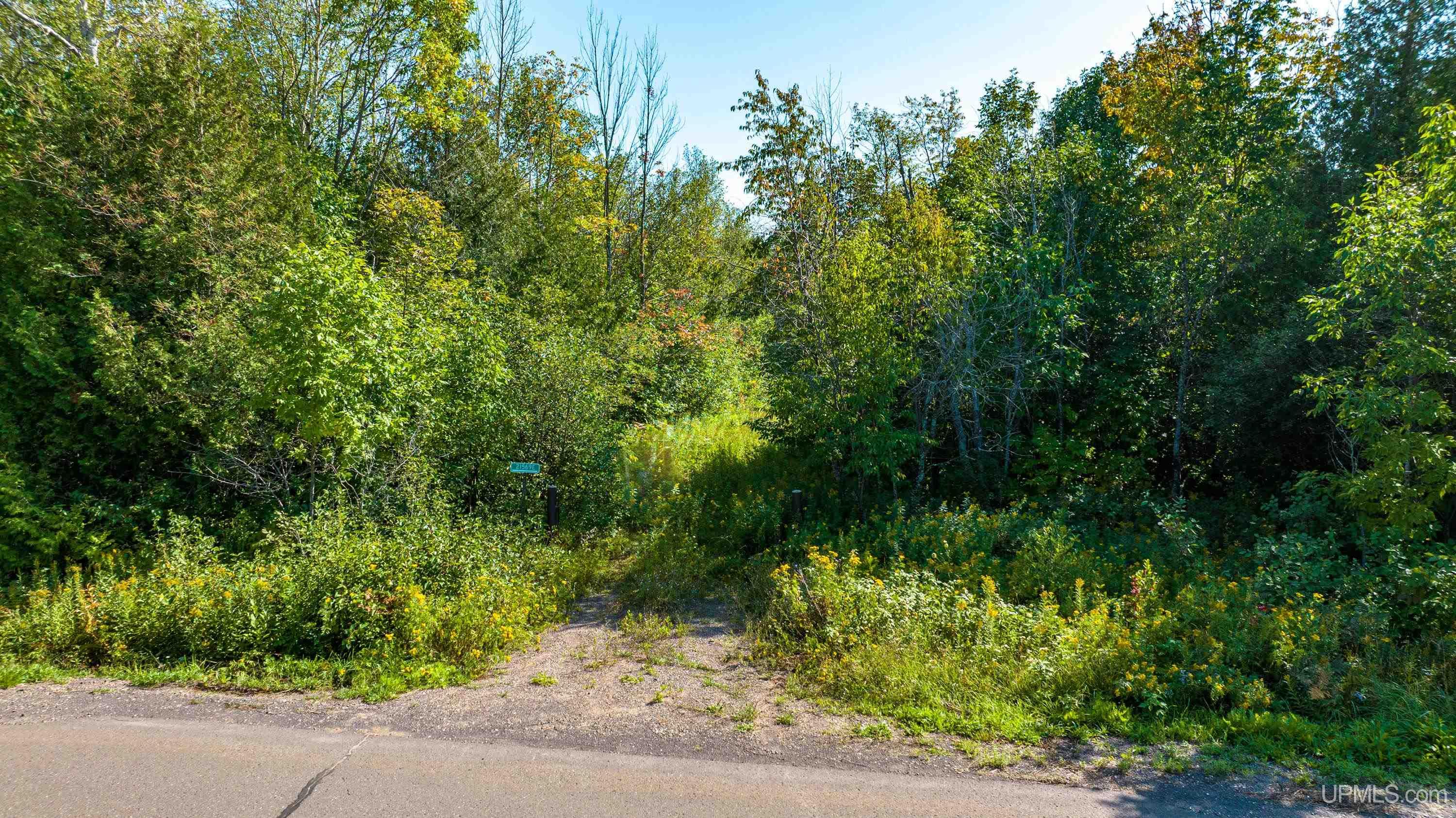 21569 Coal Dock Road Hancock, MI 49930 - Photo 8 of 31 Gallery Image 8