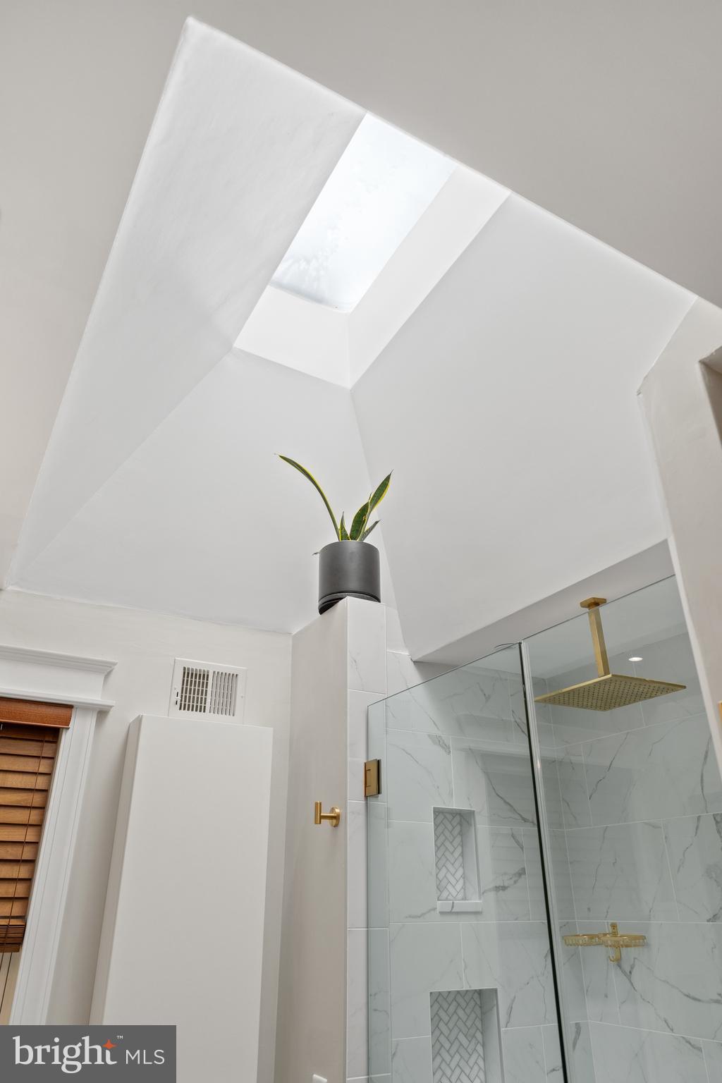 30 T Street Northeast, Unit 2 Washington, DC 20002 - Photo 15 of 34 Skylight over shower