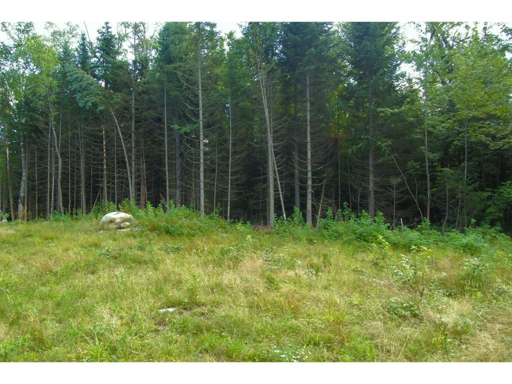 377 Old E Road Whitefield, NH 03598 - Photo 3 of 7