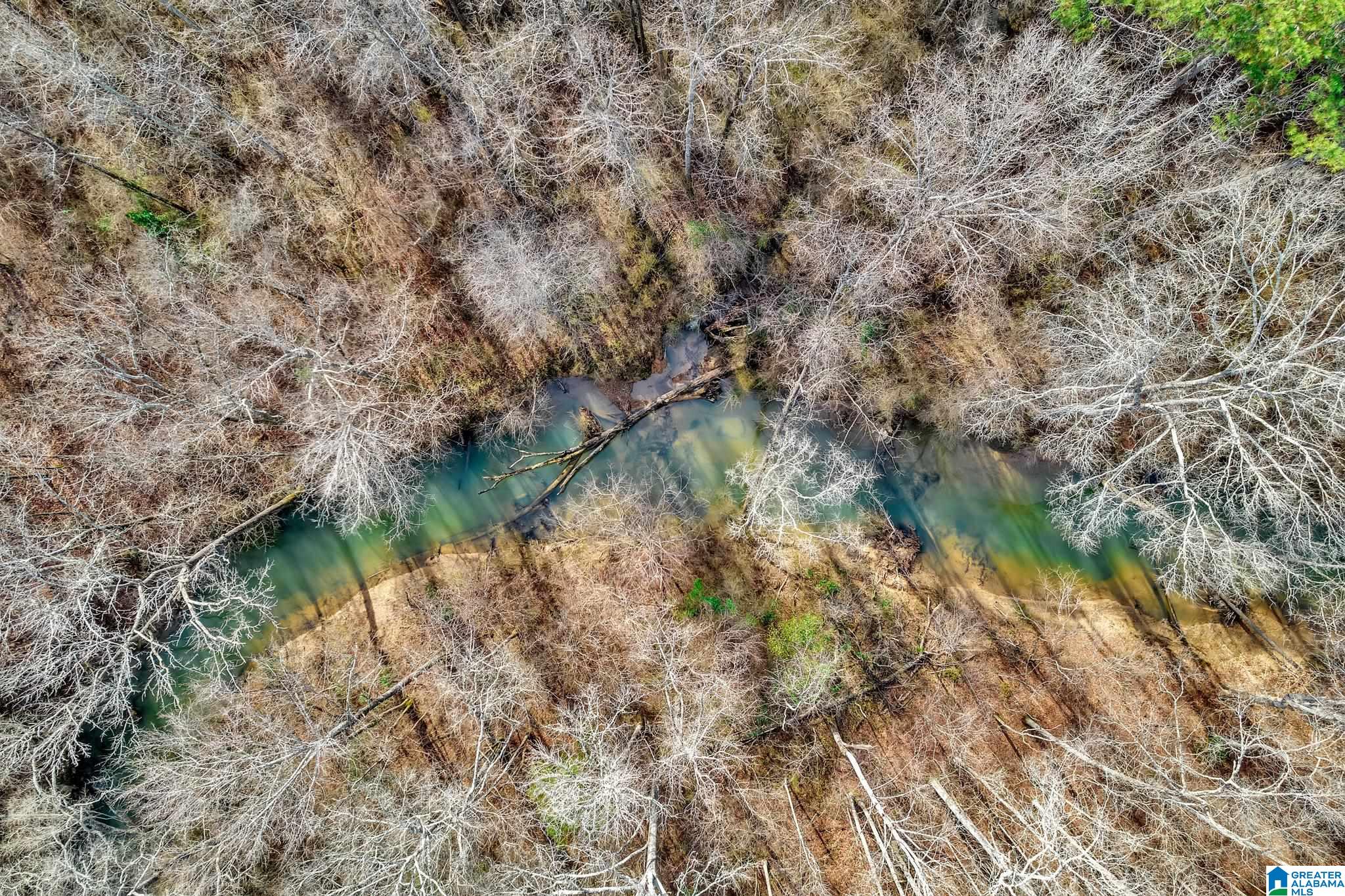 4981 Snowville Brent Road Dora, AL 35062 - Photo 33 of 36 Gallery Image 33