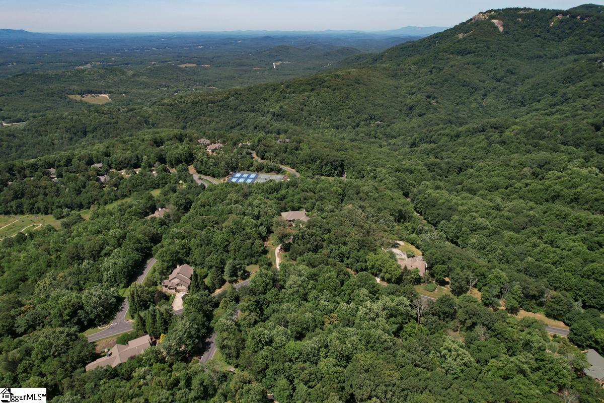 0 Raven Road Landrum, SC 29356 - Photo 11 of 13