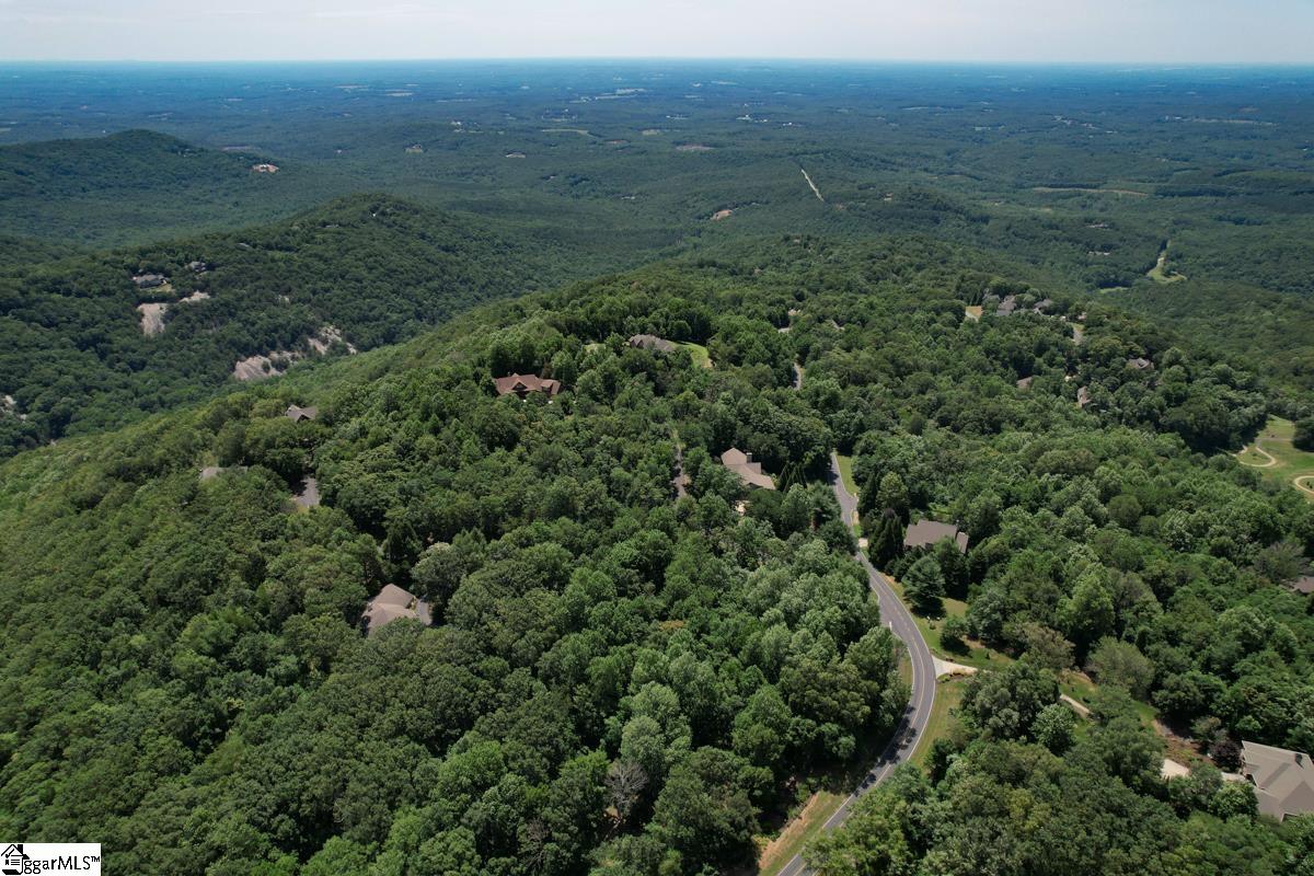 0 Raven Road Landrum, SC 29356 - Photo 12 of 13